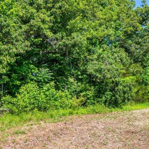 Photo #12 of 1190 Beales Lane, Nathalie, VA 40.4 acres