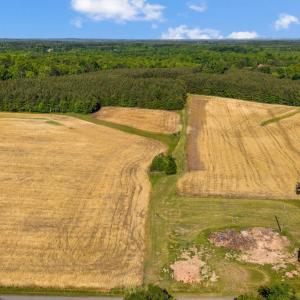 Photo #3 of 1190 Beales Lane, Nathalie, VA 40.4 acres