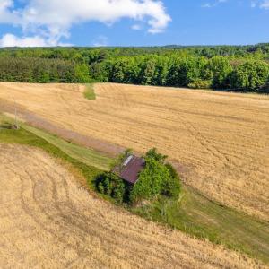 Photo #5 of 1190 Beales Lane, Nathalie, VA 40.4 acres