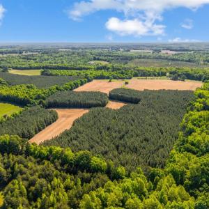 Photo #8 of 1190 Beales Lane, Nathalie, VA 40.4 acres