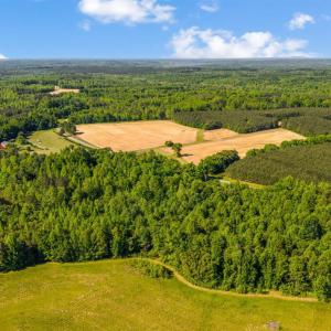 Photo #10 of 1190 Beales Lane, Nathalie, VA 40.4 acres