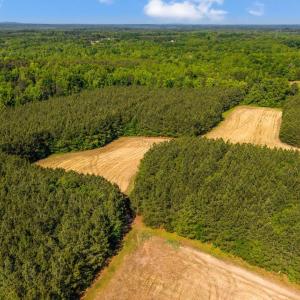 Photo #4 of 1190 Beales Lane, Nathalie, VA 40.4 acres