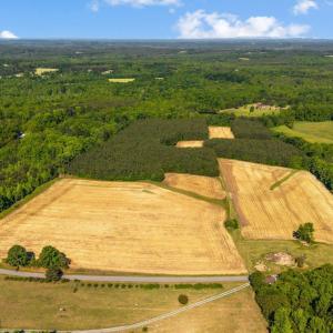 Photo #2 of 1190 Beales Lane, Nathalie, VA 40.4 acres