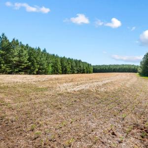 Photo #11 of 1190 Beales Lane, Nathalie, VA 40.4 acres