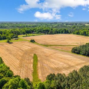 Photo #6 of 1190 Beales Lane, Nathalie, VA 40.4 acres
