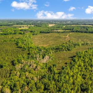 Photo #7 of Beales Lane, Nathalie, VA 136.7 acres