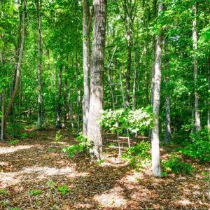 Photo #15 of Beales Lane, Nathalie, VA 136.7 acres