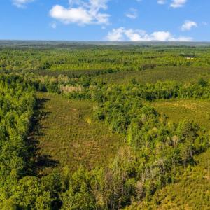 Photo #6 of Beales Lane, Nathalie, VA 136.7 acres