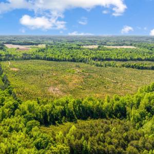 Photo #2 of Beales Lane, Nathalie, VA 136.7 acres