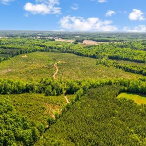 Photo #14 of Beales Lane, Nathalie, VA 136.7 acres