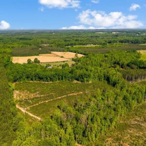 Photo #11 of Beales Lane, Nathalie, VA 136.7 acres