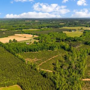 Photo #9 of Beales Lane, Nathalie, VA 136.7 acres