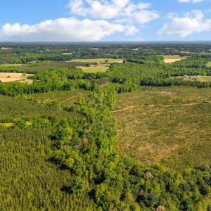 Photo #10 of Beales Lane, Nathalie, VA 136.7 acres