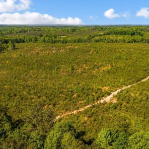 Photo #3 of Beales Lane, Nathalie, VA 136.7 acres