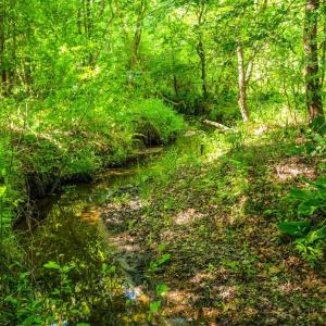 Photo #17 of Beales Lane, Nathalie, VA 136.7 acres