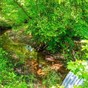 Photo #18 of Beales Lane, Nathalie, VA 136.7 acres