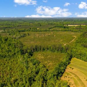 Photo #4 of Beales Lane, Nathalie, VA 136.7 acres