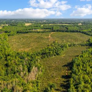 Photo #8 of Beales Lane, Nathalie, VA 136.7 acres
