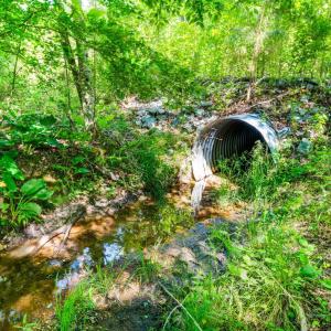 Photo #16 of Beales Lane, Nathalie, VA 136.7 acres