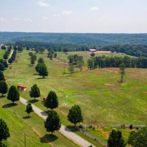 Photo #7 of Tract 1B Easome Road, Hurt, VA 51.1 acres