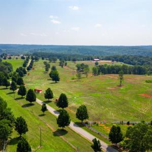 Photo #12 of Tract 1B Easome Road, Hurt, VA 51.1 acres