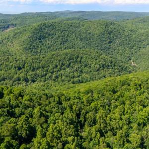 Photo #12 of 0 Meadows Lane, Montebello, VA 204.0 acres