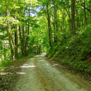 Photo #4 of 0 Meadows Lane, Montebello, VA 204.0 acres
