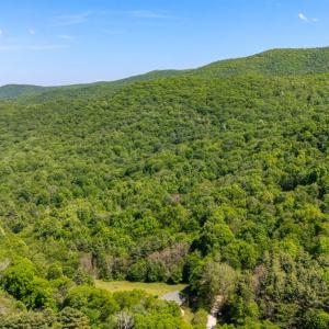 Photo #8 of 0 Meadows Lane, Montebello, VA 204.0 acres