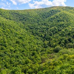 Photo #14 of 0 Meadows Lane, Montebello, VA 204.0 acres