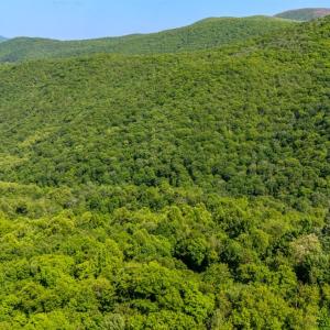 Photo #13 of 0 Meadows Lane, Montebello, VA 204.0 acres