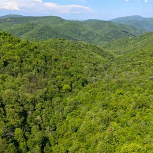 Photo #15 of 0 Meadows Lane, Montebello, VA 204.0 acres