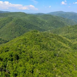 Photo #1 of 0 Meadows Lane, Montebello, VA 204.0 acres