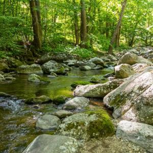 Photo #17 of 0 Meadows Lane, Montebello, VA 204.0 acres