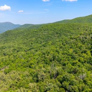 Photo #10 of 0 Meadows Lane, Montebello, VA 204.0 acres