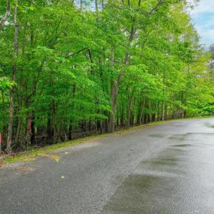 Photo #12 of Old Barn Road, Moneta, VA 0.8 acres