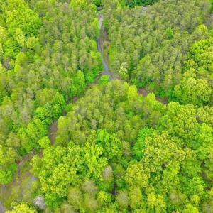 Photo #9 of Old Barn Road, Moneta, VA 0.8 acres