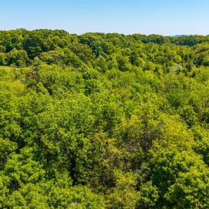 Photo #30 of 4159 Amherst Highway, Madison Heights, VA 35.2 acres