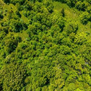 Photo #32 of 4159 Amherst Highway, Madison Heights, VA 35.2 acres