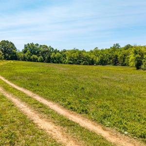 Photo #34 of 4159 Amherst Highway, Madison Heights, VA 35.2 acres