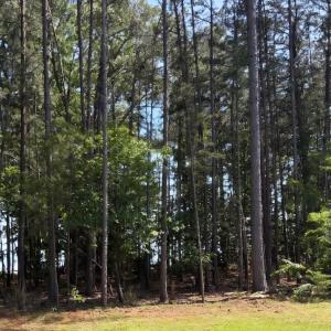 Photo #1 of Wyatts Way, Evington, VA 0.8 acres