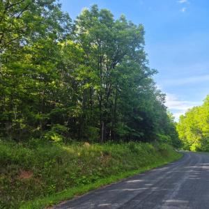 Photo #5 of Dreaming Creek Road, Concord, VA 128.6 acres