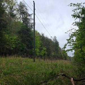Photo #8 of Dreaming Creek Road, Concord, VA 128.6 acres