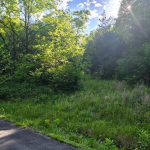 Photo #6 of Dreaming Creek Road, Concord, VA 128.6 acres
