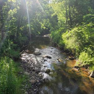 Photo #1 of Dreaming Creek Road, Concord, VA 128.6 acres