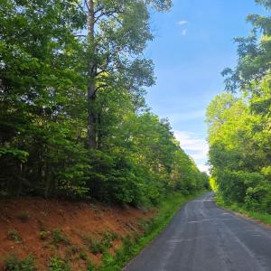 Photo #4 of Dreaming Creek Road, Concord, VA 128.6 acres