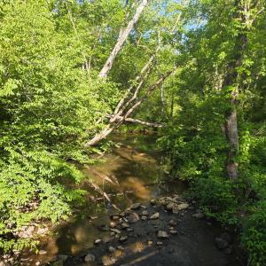 Photo #2 of Dreaming Creek Road, Concord, VA 128.6 acres