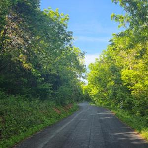 Photo #7 of Dreaming Creek Road, Concord, VA 128.6 acres