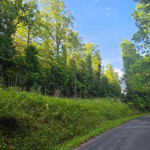 Photo #3 of Dreaming Creek Road, Concord, VA 128.6 acres
