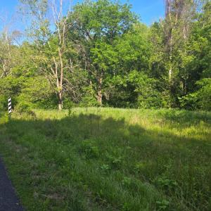 Photo #1 of Dreaming Creek Road, Concord, VA 11.0 acres