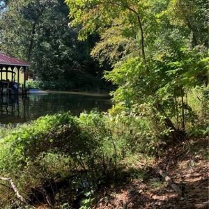 Photo #5 of Lot 9R Eagle Pointe, Norwood, NC 1.1 acres